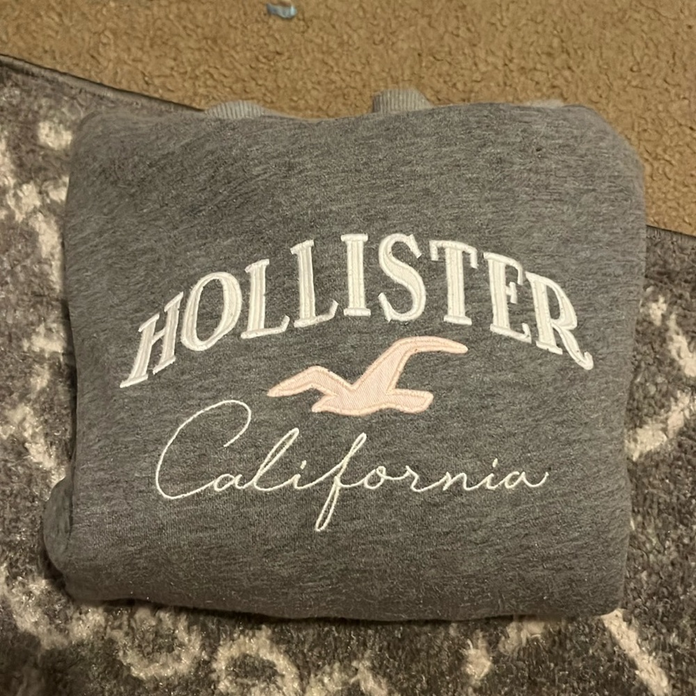 HOLLISTER HOODIE | SIZE L